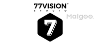 77VISION