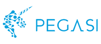 倍佳睡PEGASI