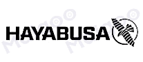 Hayabusa