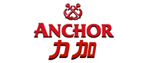 Anchor力加