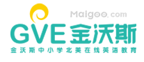 金沃斯GVE