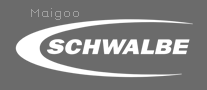 Schwalbe世文